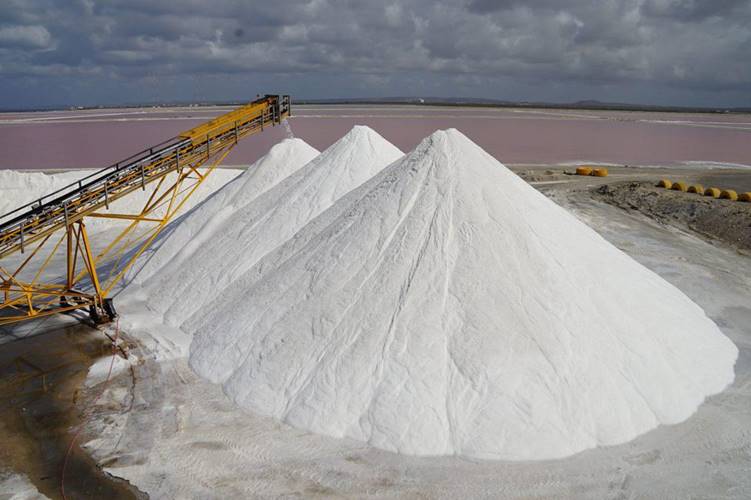 Salt Being Readied For Export