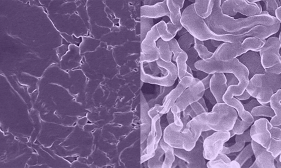A new sodium metal anode for rechargeable batteries resists dendrite formation (left) a common problem with standard sodium metal anodes as seen on the right